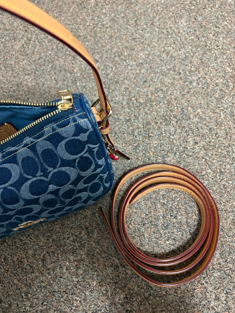 Coach - Picture 6 of 12